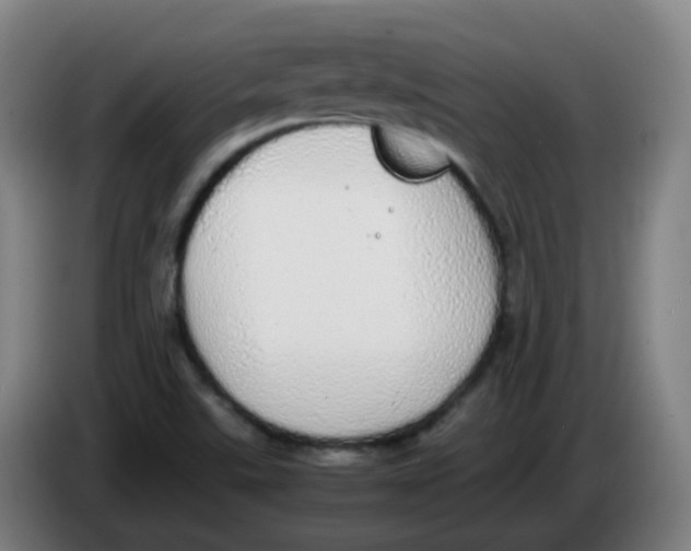 X0000085251507200703301758