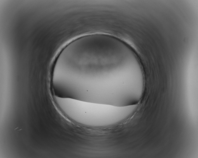 X0000085251508200703301758