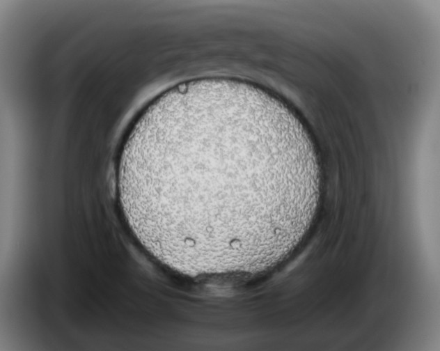 X0000085251509200703301758