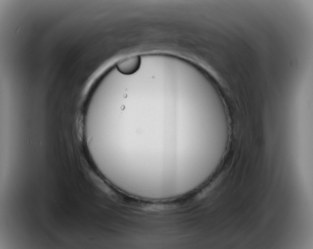 X0000085251510200703301758