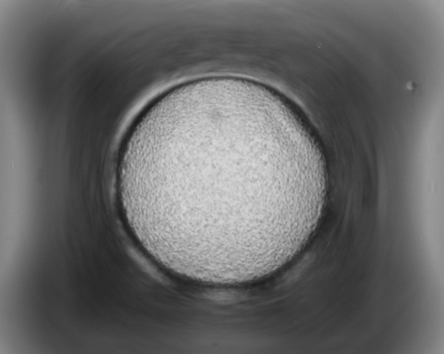 X0000085251511200703301758