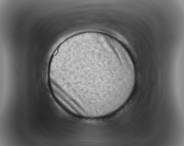 X0000085251512200703301758