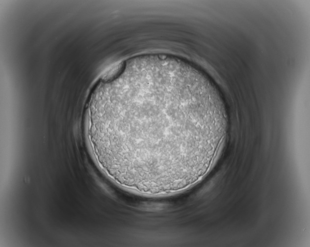 X0000085251513200703301758