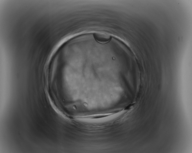 X0000085251515200703301758