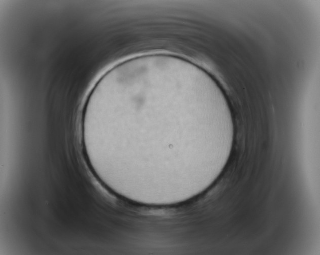 X0000085251516200703301758