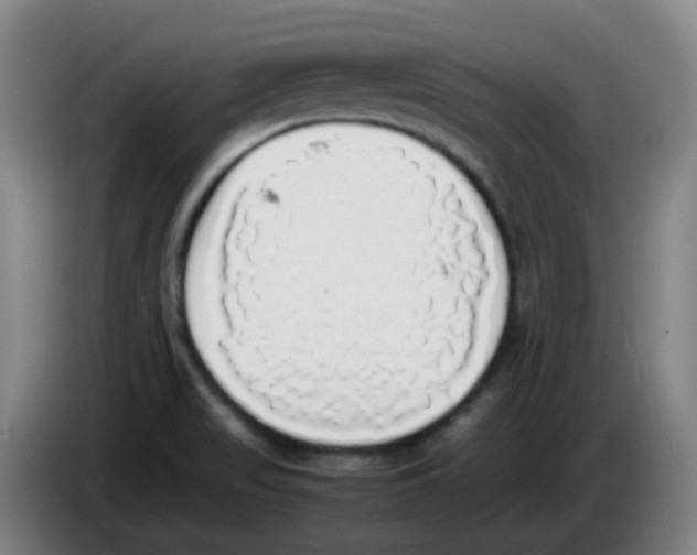 X0000085251517200703301758