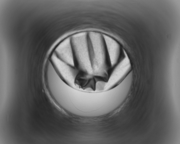 X0000085251518200703301758