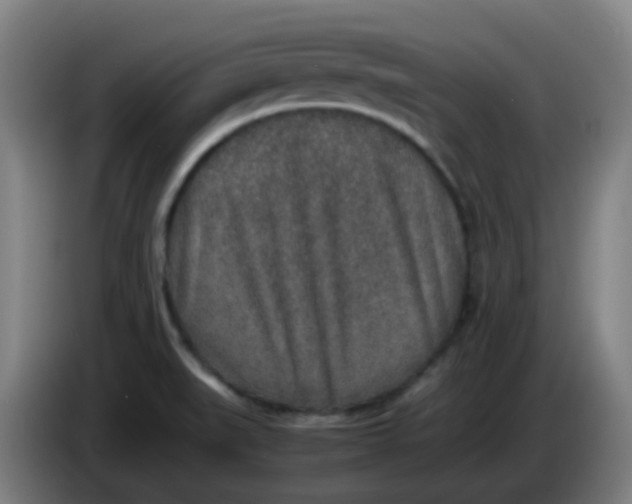 X0000085251519200703301758