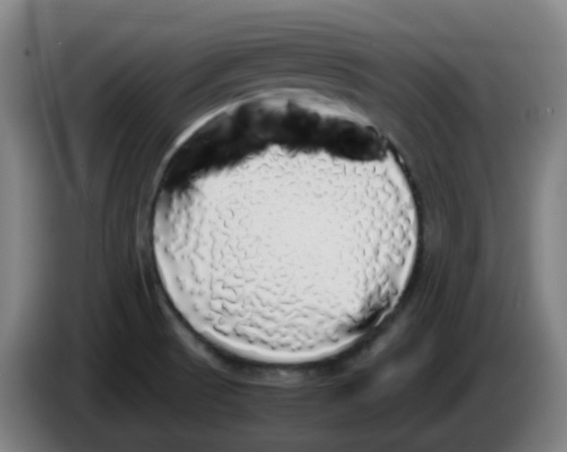 X0000085251521200703301758