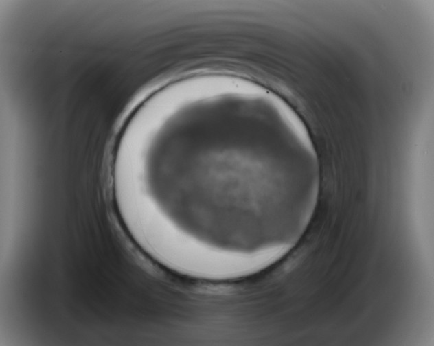 X0000085251522200703301758