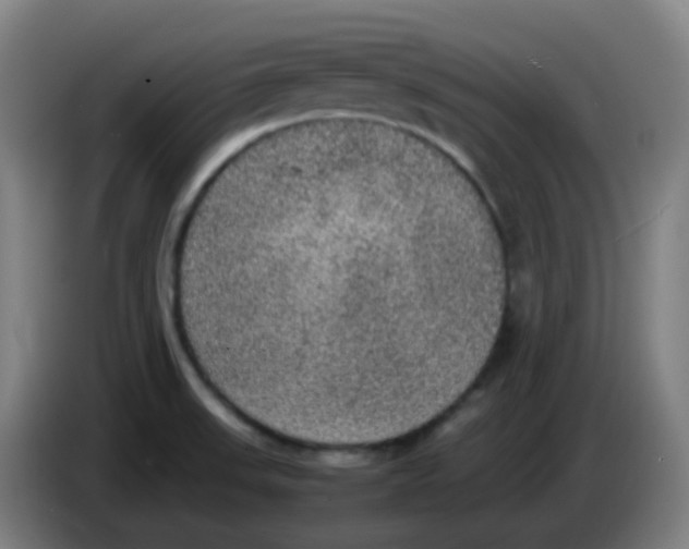 X0000085251523200703301758