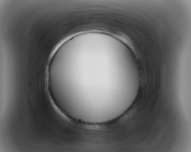 X0000085251524200703301758