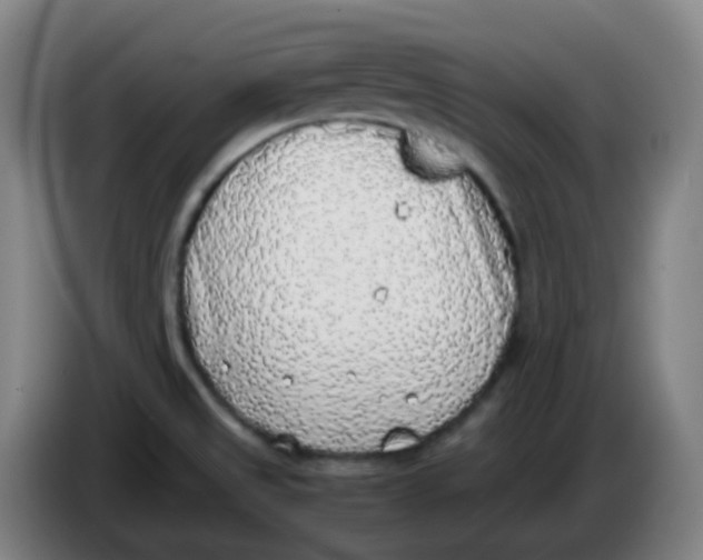 X0000085251525200703301758