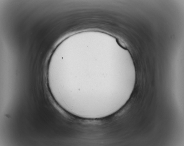 X0000085251526200703301758