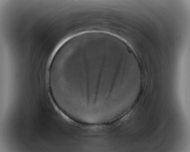 X0000085251527200703301758