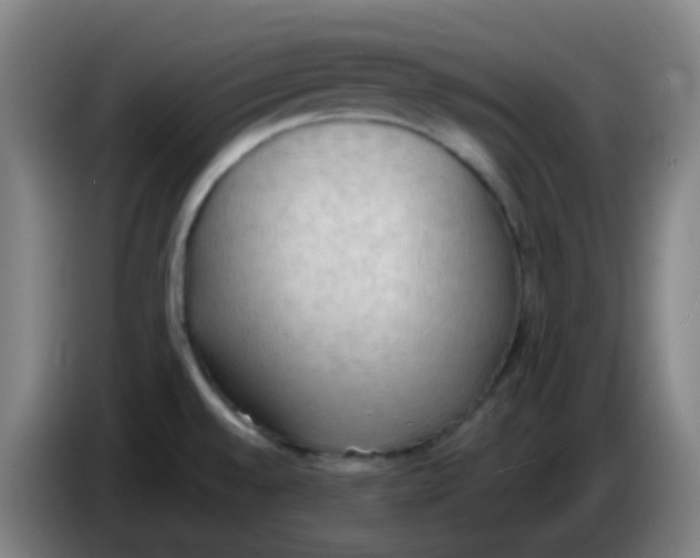 X0000085251528200703301758