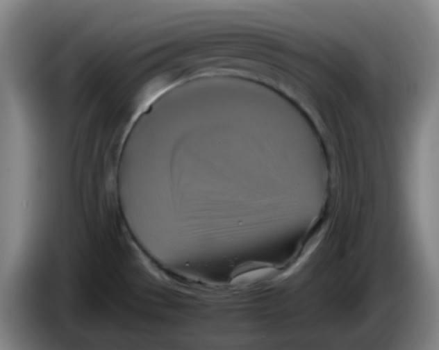 X0000085251529200703301758