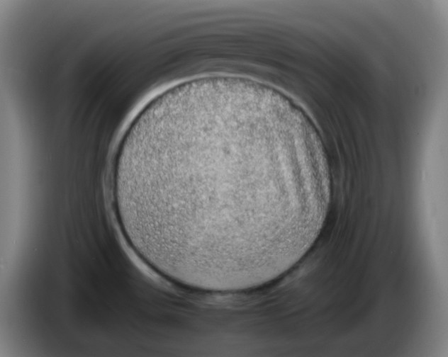 X0000085251531200703301758