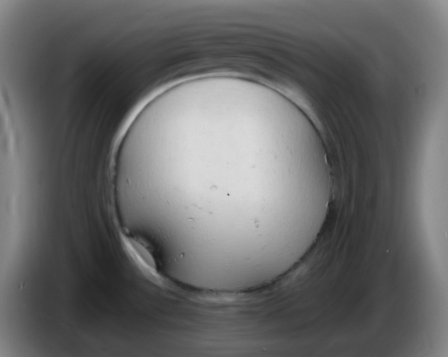 X0000085251532200703301758