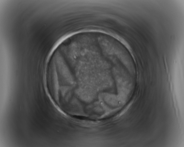 X0000085251533200703301758