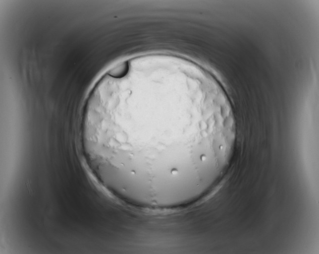 X0000085251534200703301758