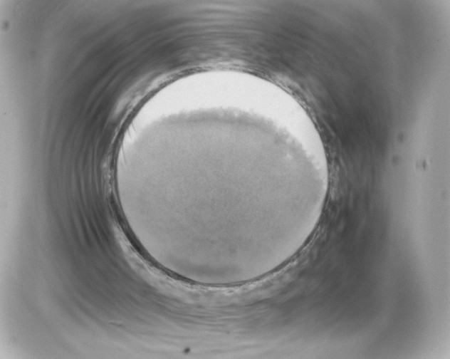 X0000085250002200704092101