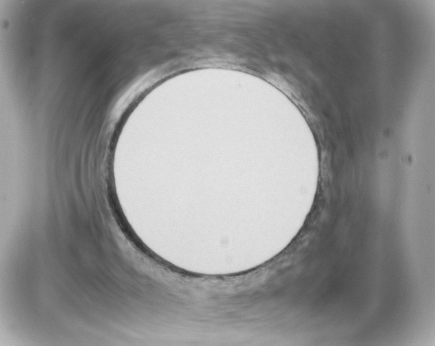 X0000085250007200704092100