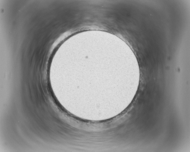 X0000085250008200704092100