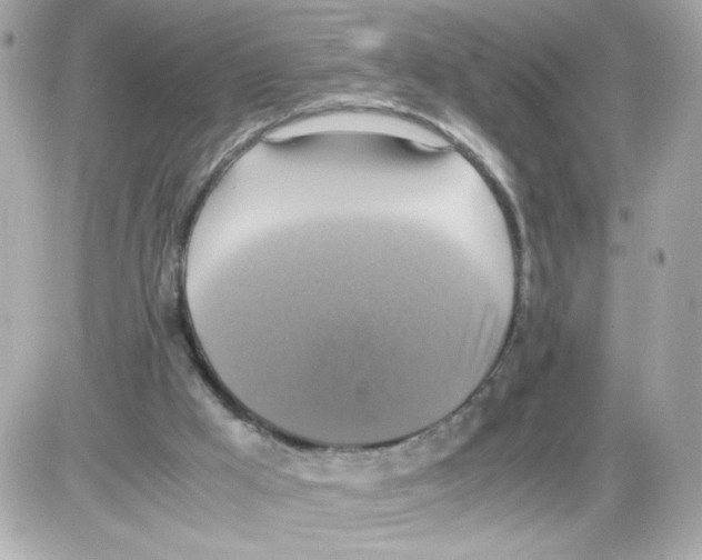 X0000085250009200704092100