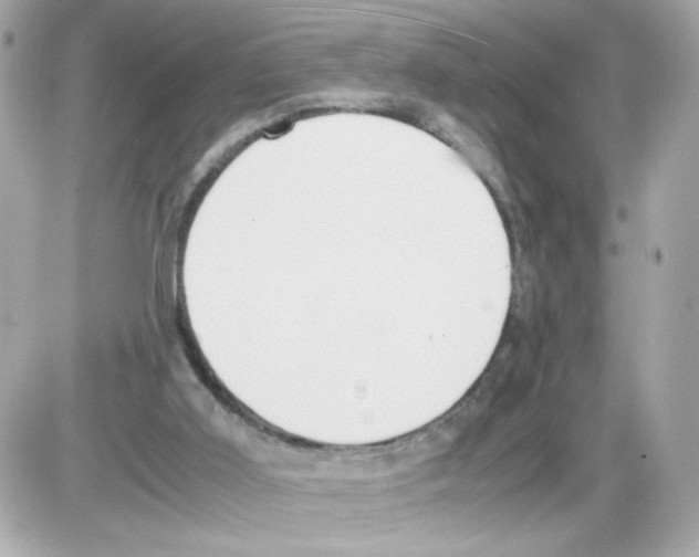 X0000085250011200704092100