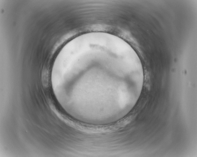 X0000085250012200704092100