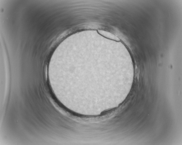 X0000085250013200704092100