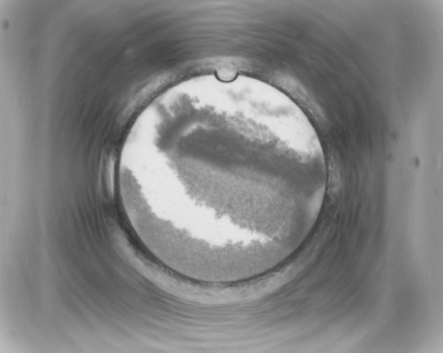 X0000085250014200704092100