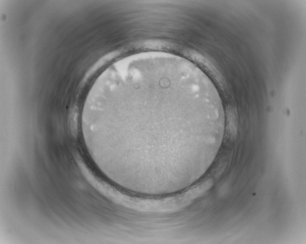 X0000085250016200704092100