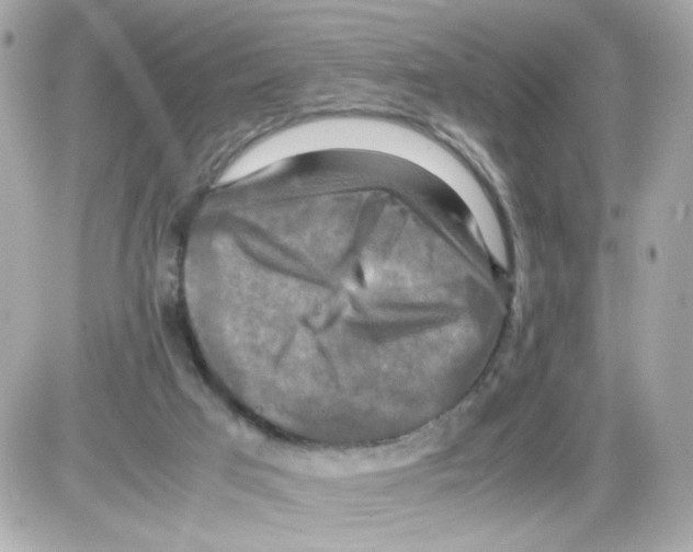 X0000085250017200704092100