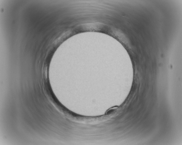 X0000085250021200704092100