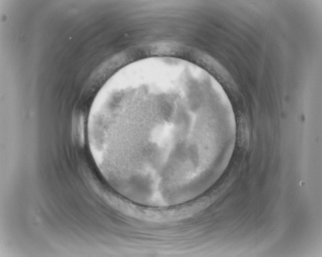 X0000085250022200704092100