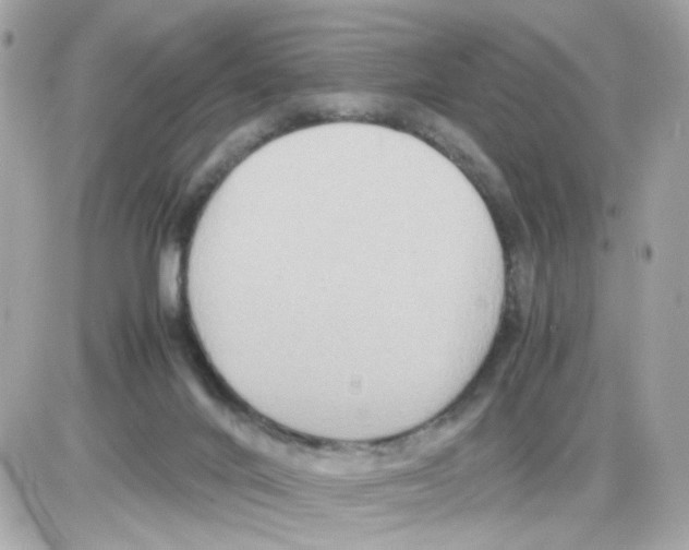 X0000085250024200704092100