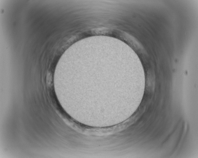 X0000085250025200704092100