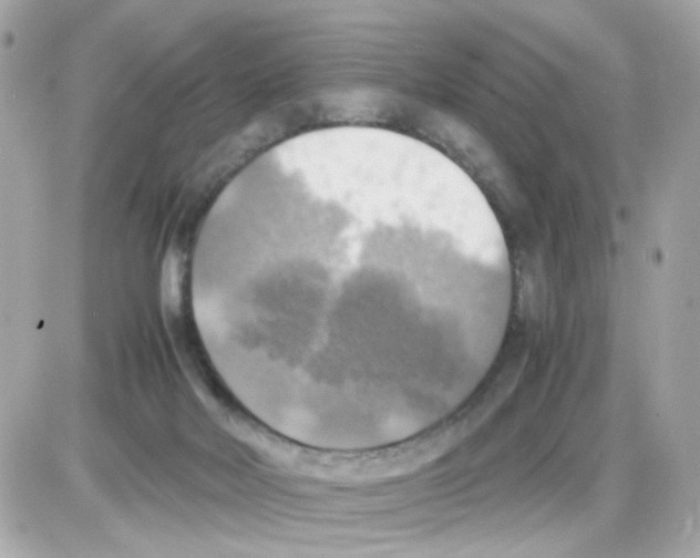 X0000085250026200704092100