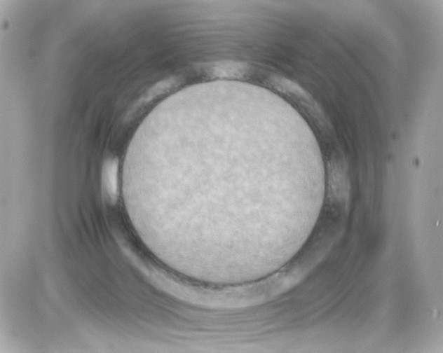 X0000085250028200704092100