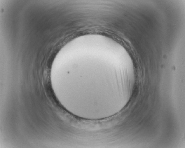 X0000085250029200704092100