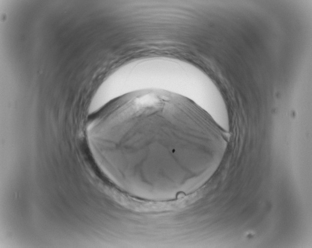 X0000085250031200704092100