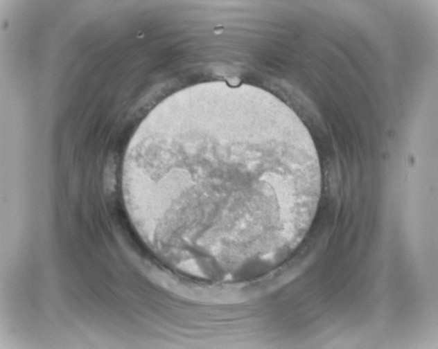 X0000085250032200704092100