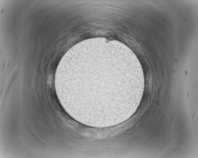 X0000085250033200704092100