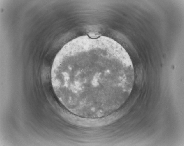 X0000085250034200704092100