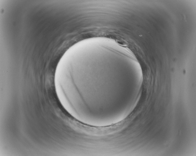 X0000085250035200704092100