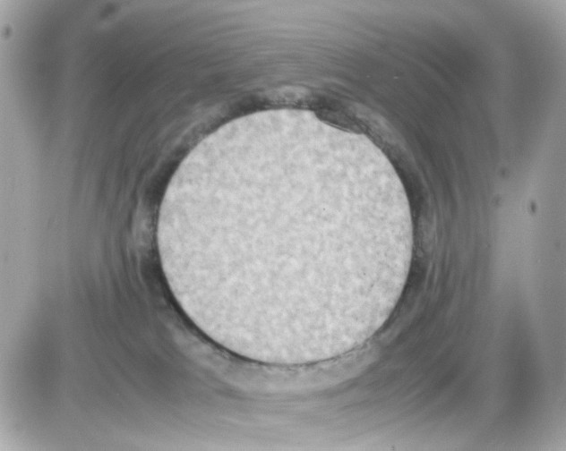 X0000085250037200704092100