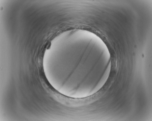 X0000085250039200704092100