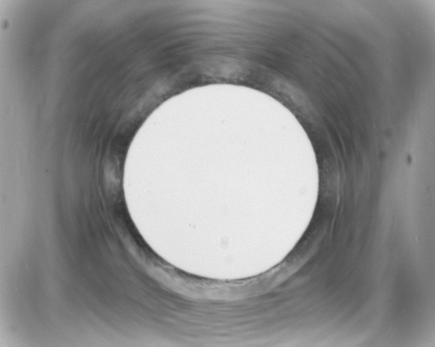 X0000085250040200704092100